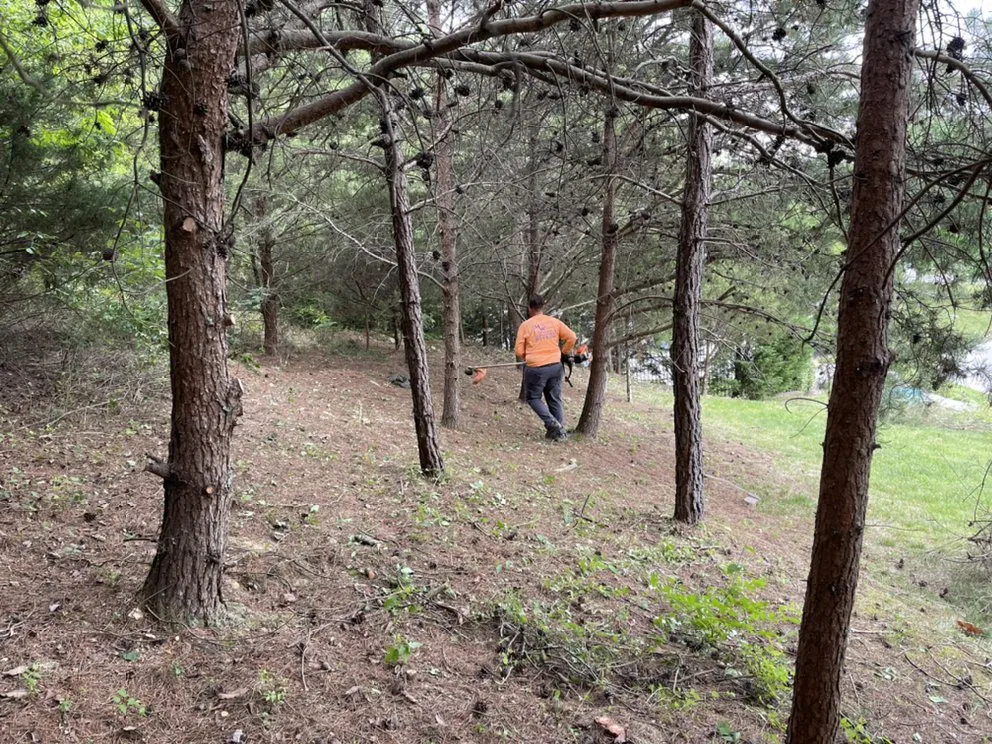 Affordable garden landscaping in Knoxville, TN - Mark William Solutions