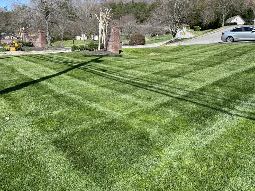 Custom yard maintenance experts serving Knoxville, TN - Mark William Solutions