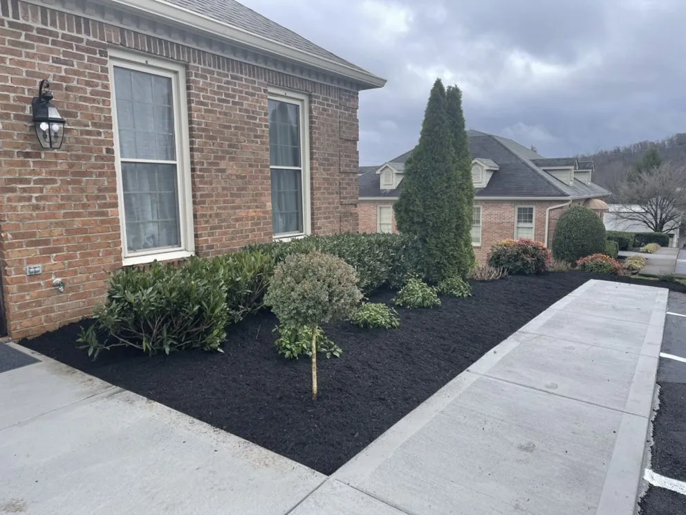 Affordable landscaping services for outdoor upgrades across Knoxville, TN - Mark William Solutions