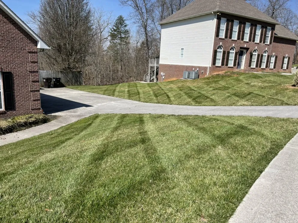 Trusted landscaping services in Knoxville, TN by Mark William Solutions
