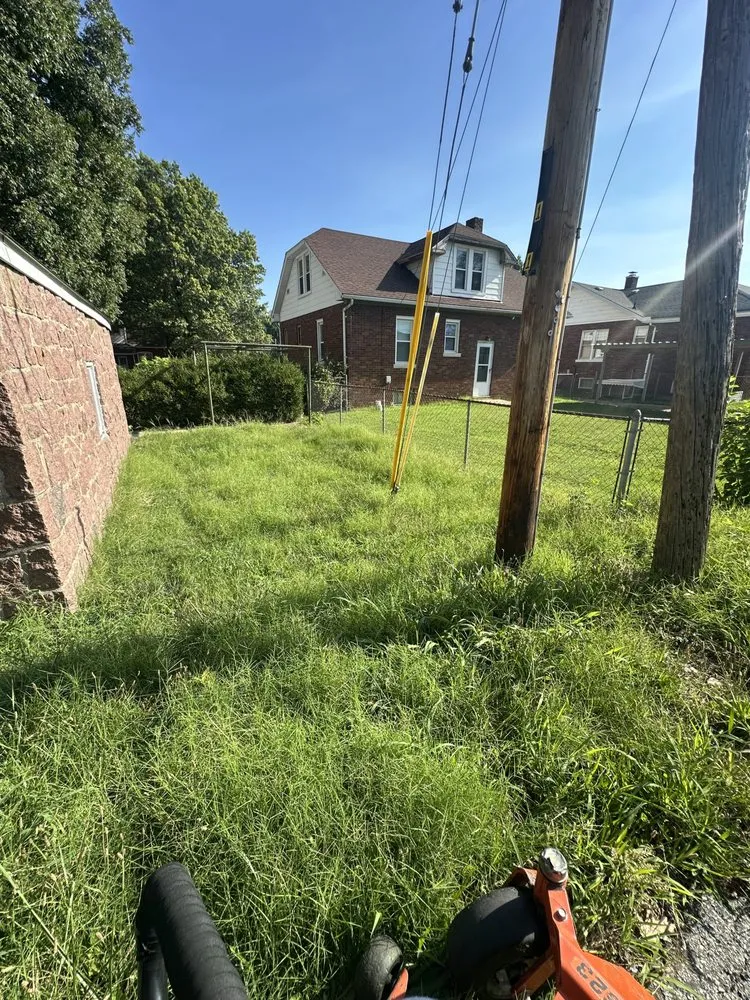 Local outdoor landscaping for year-round maintenance across Swansea, IL - Mark1pro Lawn Service