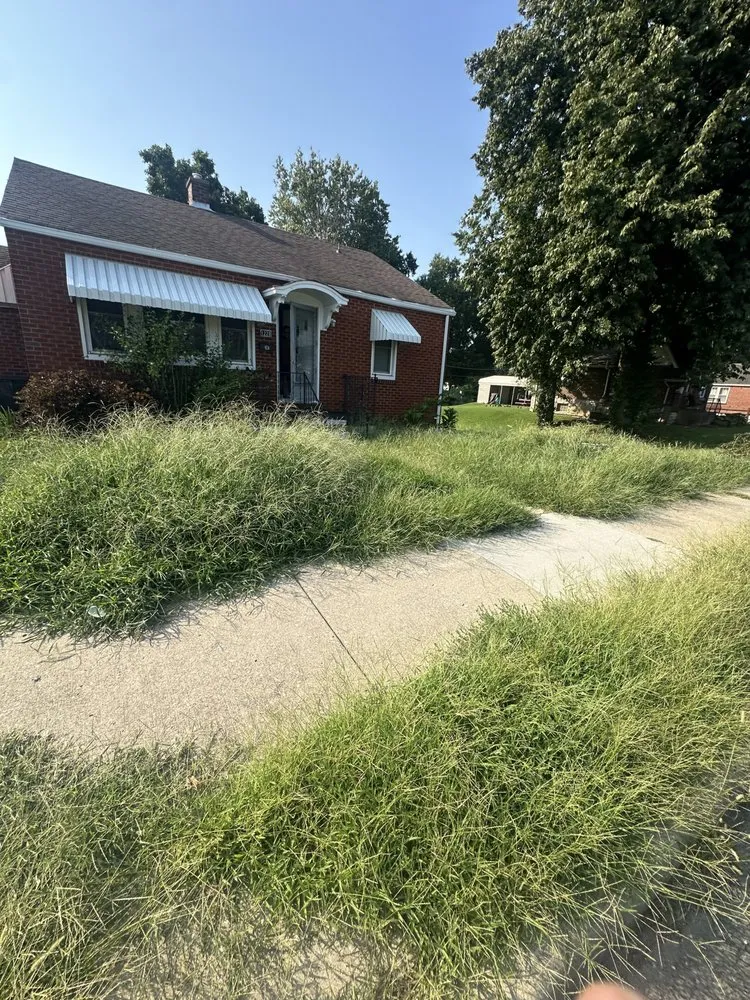 Top-rated lawn care service in Swansea, IL - Mark1pro Lawn Service