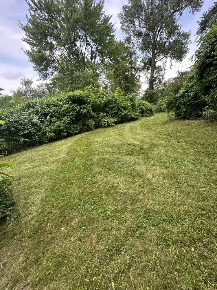 Professional residential landscaping in Swansea, IL by Mark1pro Lawn Service