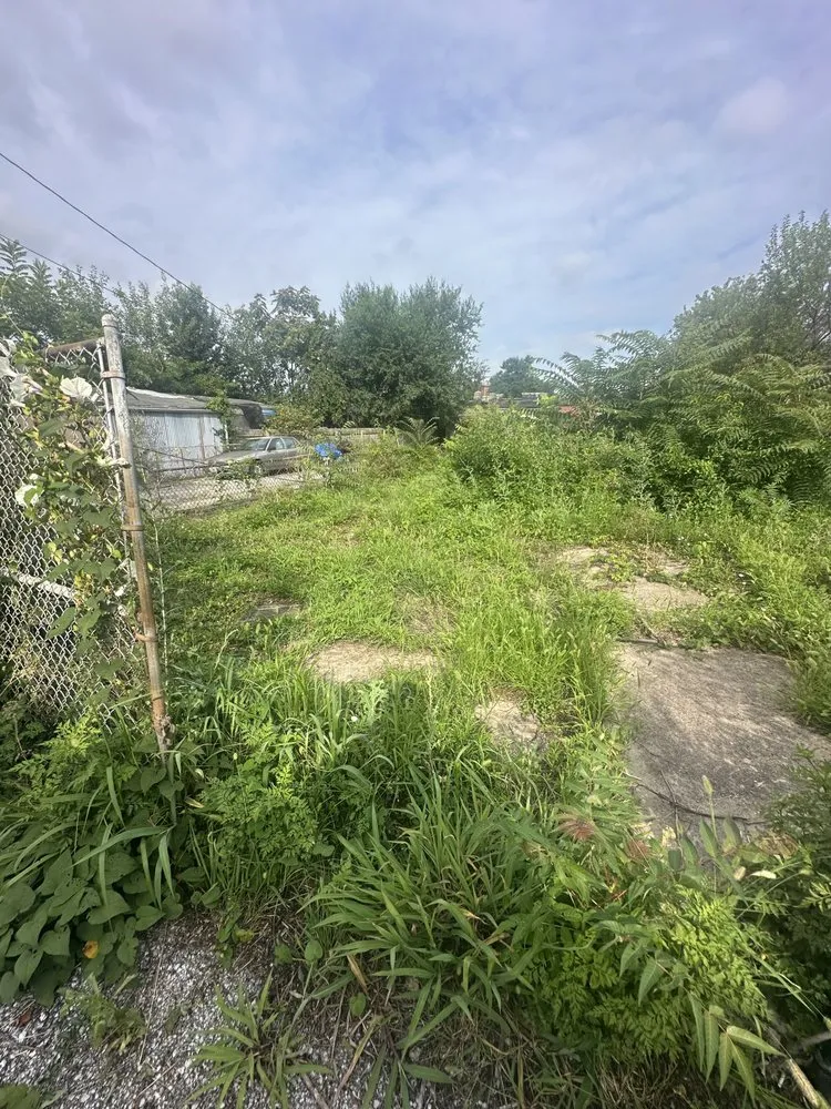 Expert yard cleanup service in Swansea, IL by Mark1pro Lawn Service