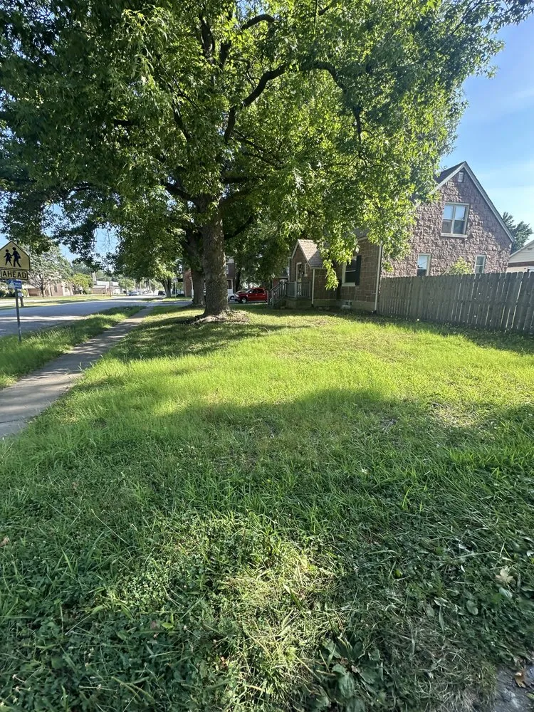 Custom yard cleanup service experts serving Swansea, IL - Mark1pro Lawn Service