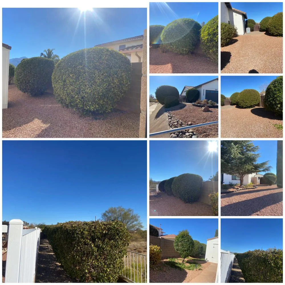 Top-rated lawn care service for residential properties in Sierra Vista, AZ by Markam landscaping