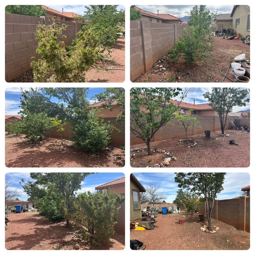 Professional landscape installation experts serving Sierra Vista, AZ - Markam landscaping