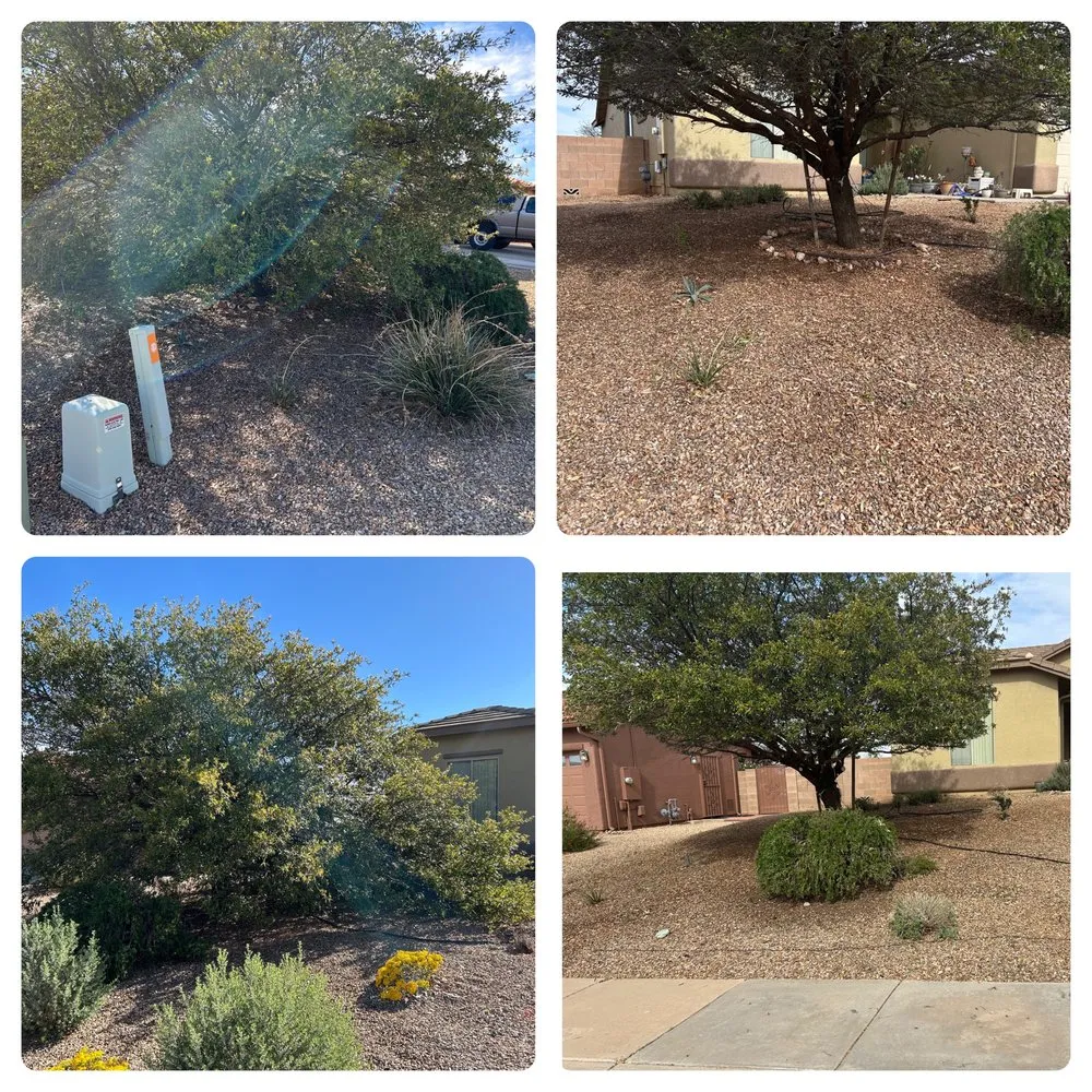 Professional landscape installation near you across Sierra Vista, AZ - Markam landscaping