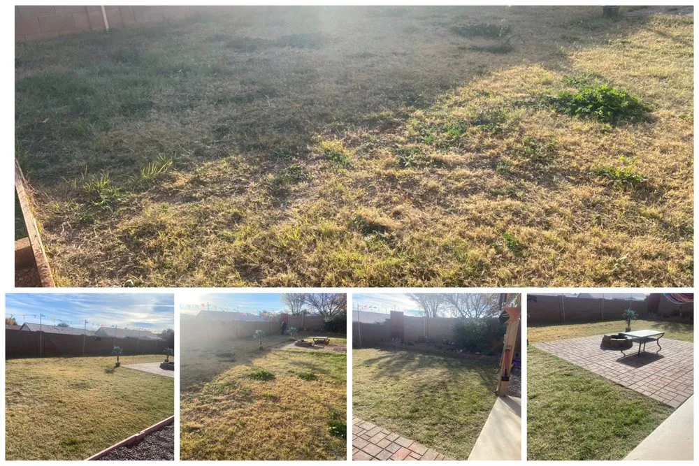 Trusted lawn mowing service for outdoor upgrades across Sierra Vista, AZ - Markam landscaping