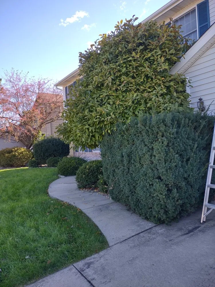 Top-rated yard cleanup service in Normal, IL - Markeis Andrews Superior Services