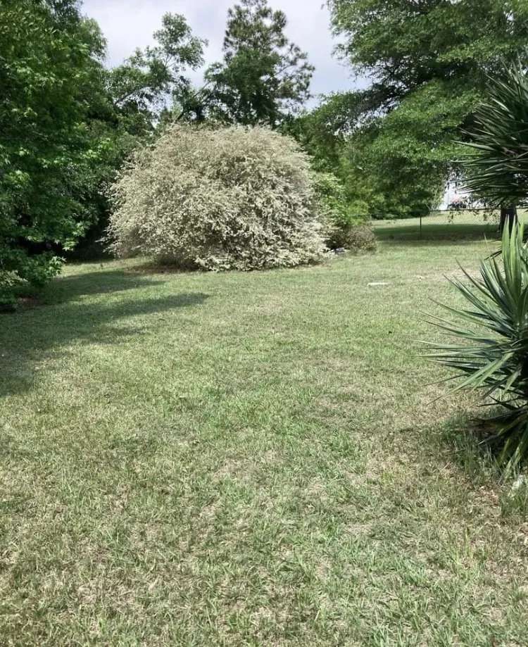 Affordable landscape design experts serving Cape Carteret, NC - Marker 24 landscaping