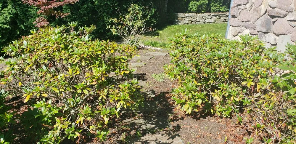 Reliable garden landscaping in Plains, PA by Markert's Landscaping And Lawn Care