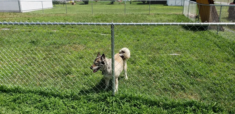 Expert landscape design in Plains, PA by Markert's Landscaping And Lawn Care
