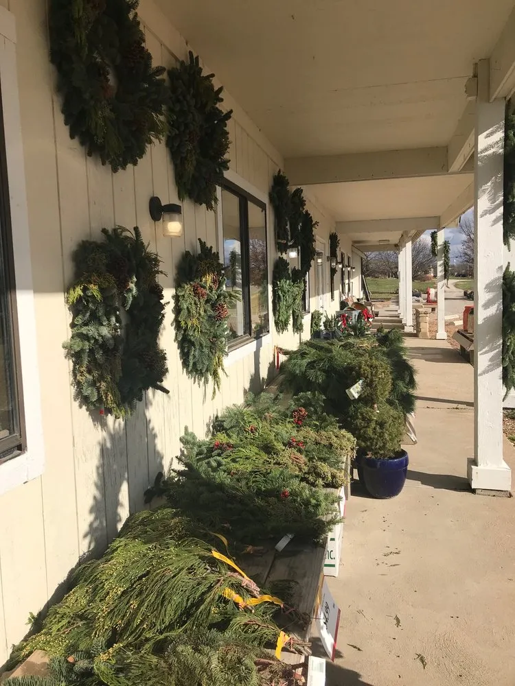 Local landscaping services experts serving St. Peters, MO - Market Basket