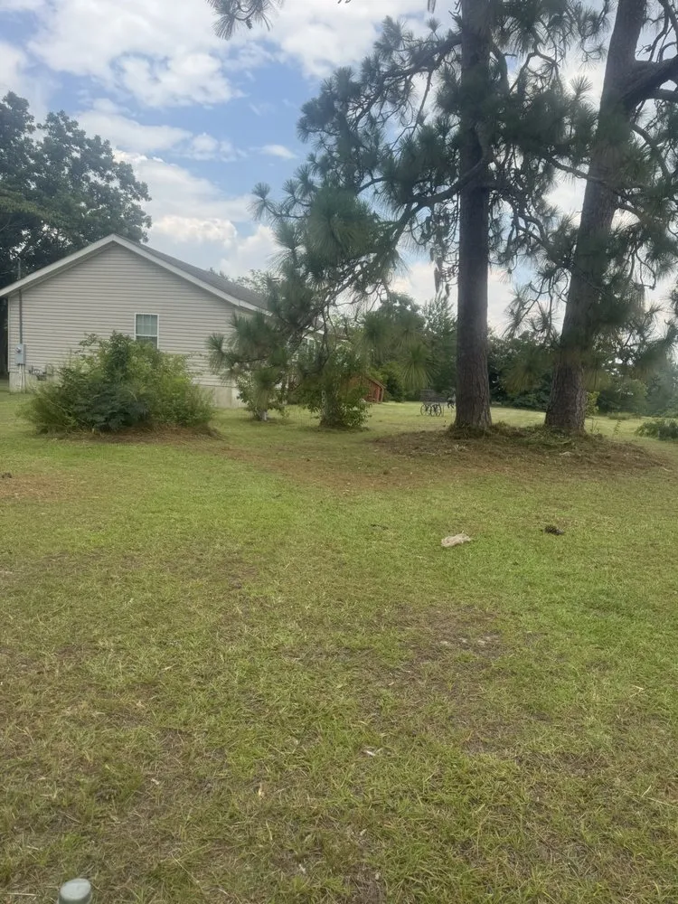 Expert residential landscaping for beautiful yards across Cochran, GA - Markls Handyworks