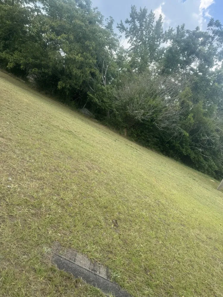 Professional yard cleanup service in Cochran, GA by Markls Handyworks