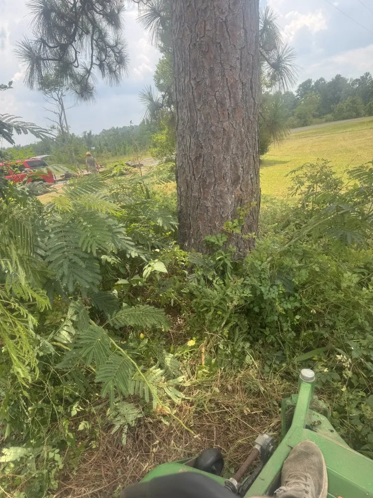 Trusted landscape design for beautiful yards across Cochran, GA - Markls Handyworks