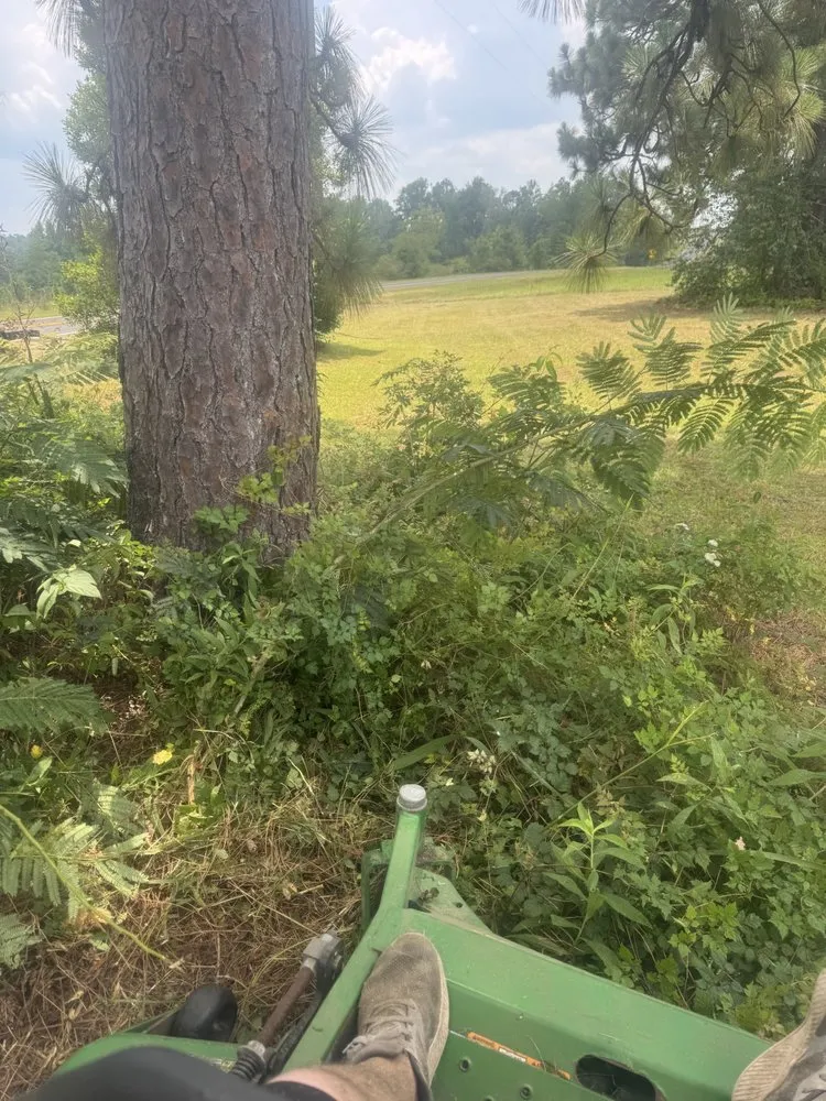 Affordable landscaping services for beautiful yards across Cochran, GA - Markls Handyworks