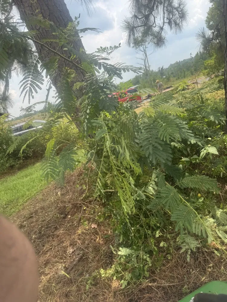 Top-rated landscaping services in Cochran, GA - Markls Handyworks