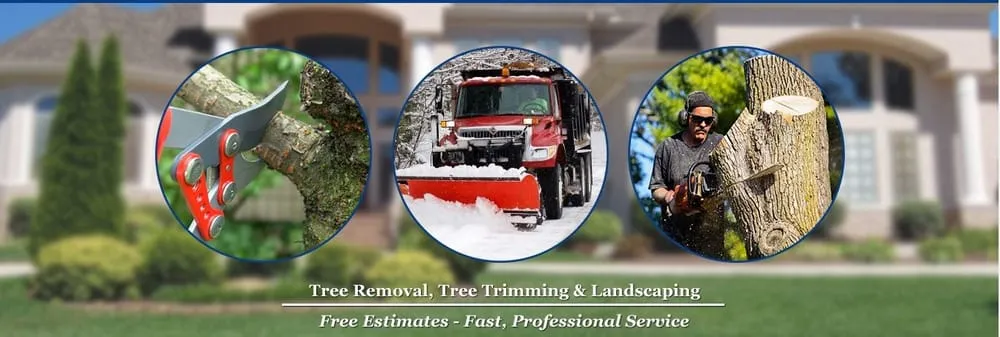 Expert yard cleanup service in Rockaway, NJ - Markovski Landscaping & Tree Service