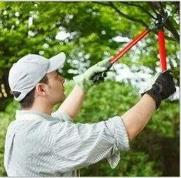 Professional lawn care service experts serving Rockaway, NJ - Markovski Landscaping & Tree Service