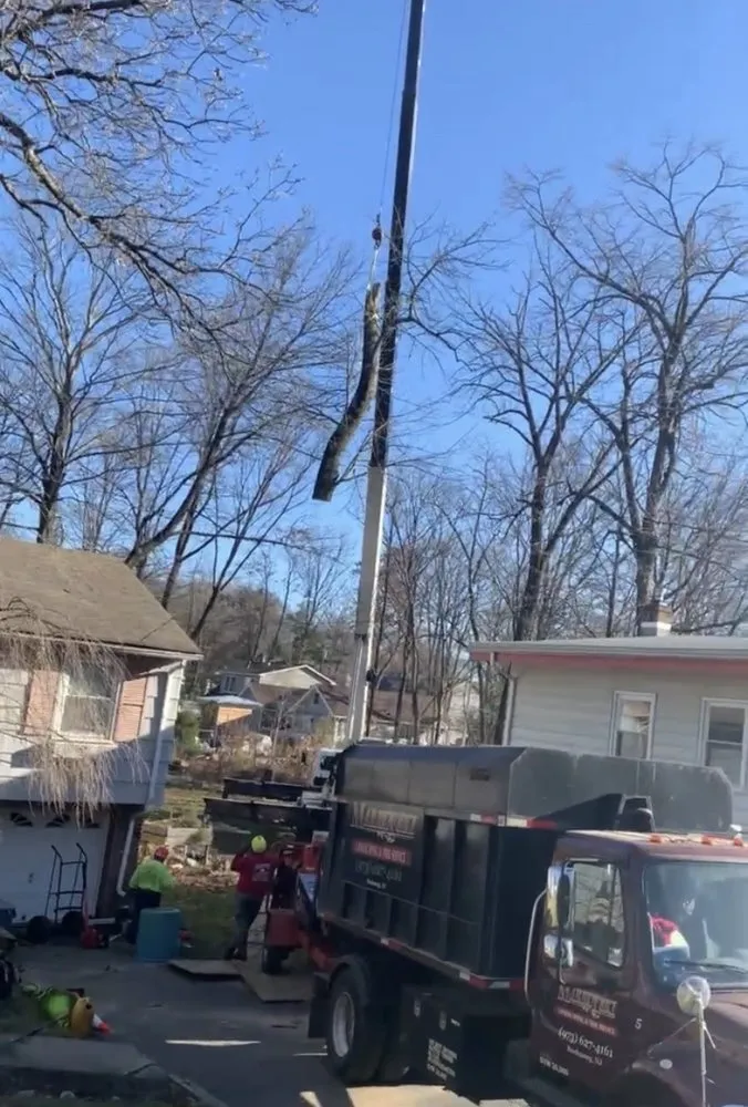 Reliable landscape installation for outdoor upgrades in Rockaway, NJ by Markovski Landscaping & Tree Service