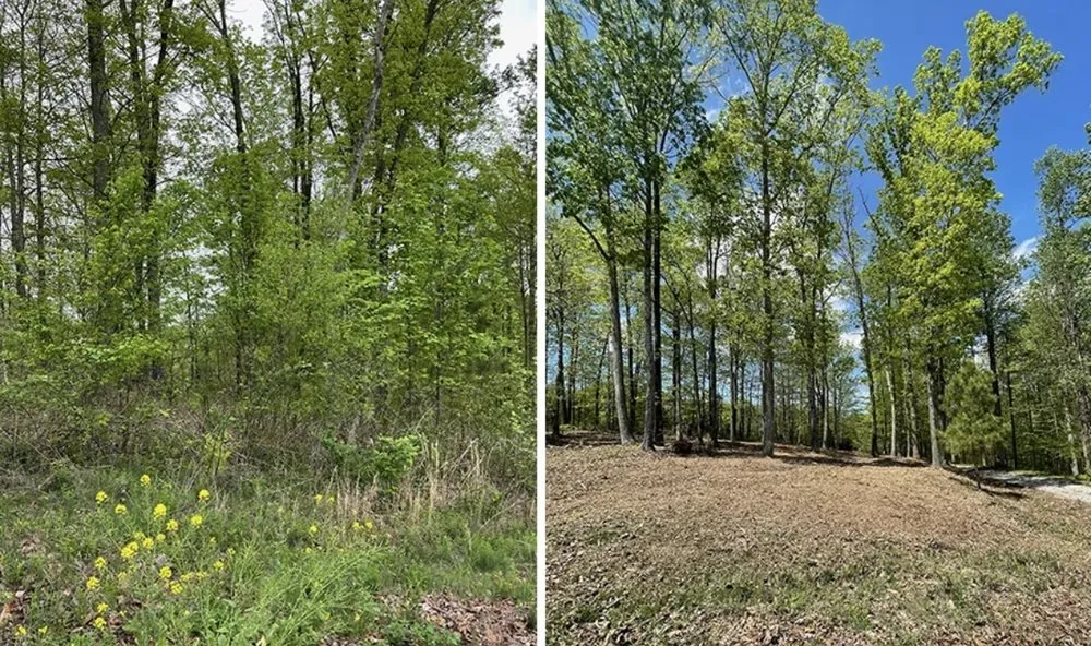 Local yard cleanup service experts serving Slidell, LA - Marks Brothers Landscaping