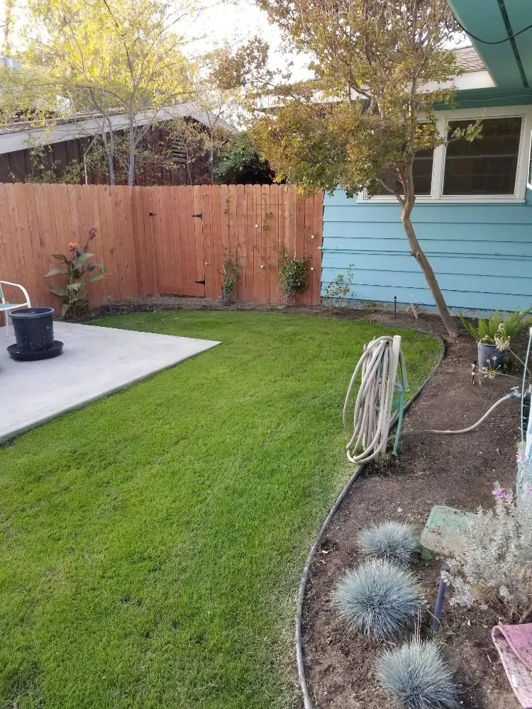 Affordable landscape design experts serving Bakersfield, CA - Mark's Gardening