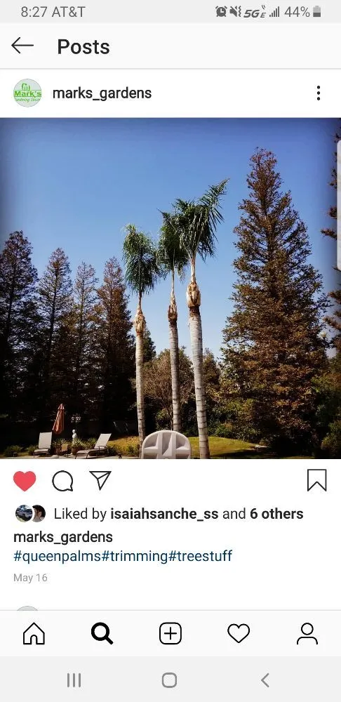 Trusted lawn care service for beautiful yards in Bakersfield, CA by Mark's Gardening