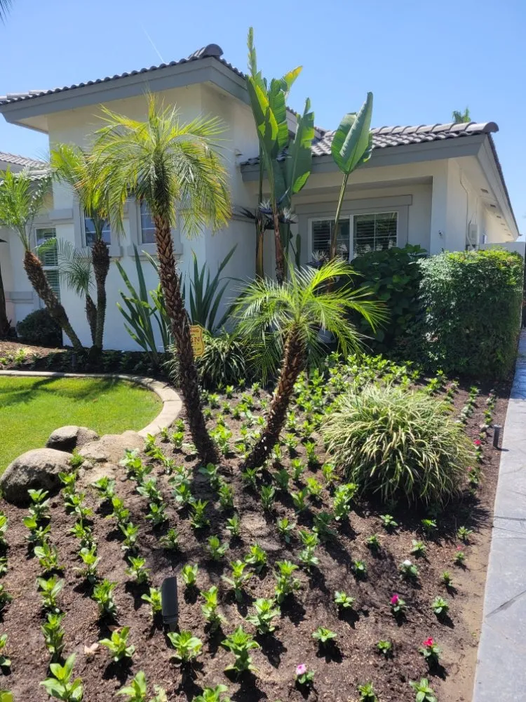 Local yard cleanup service in Bakersfield, CA - Mark's Gardening