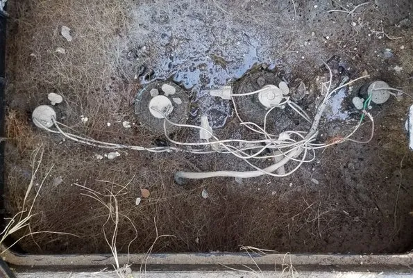 Mark's Gardening Logo