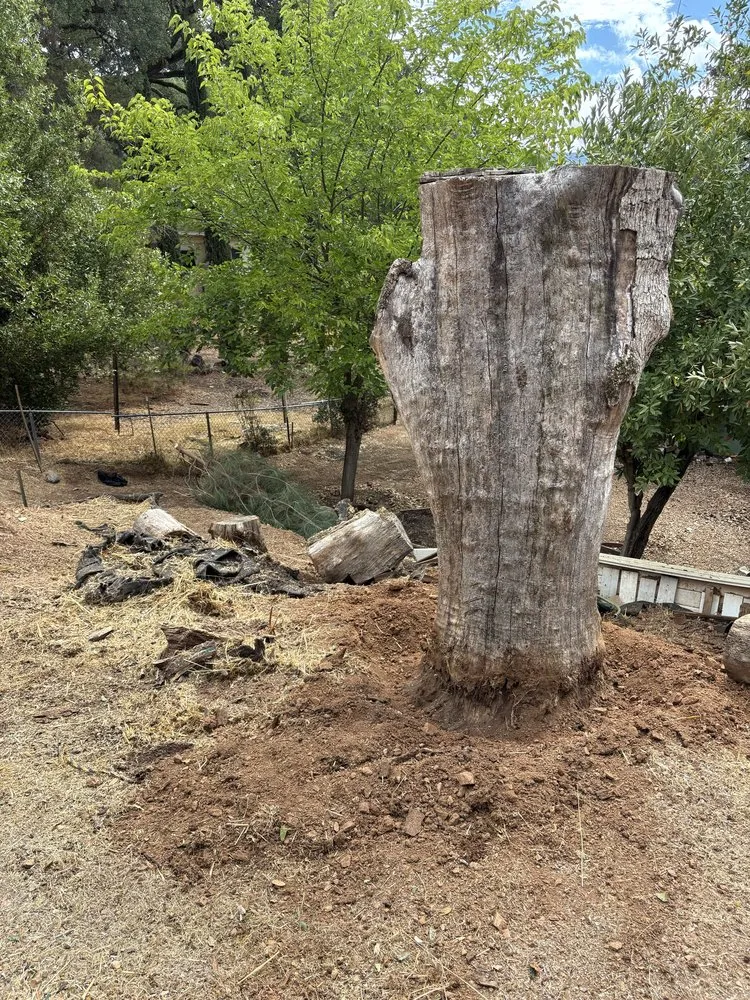 Custom residential landscaping in Ukiah, CA - Marks Landscaping And Gardening