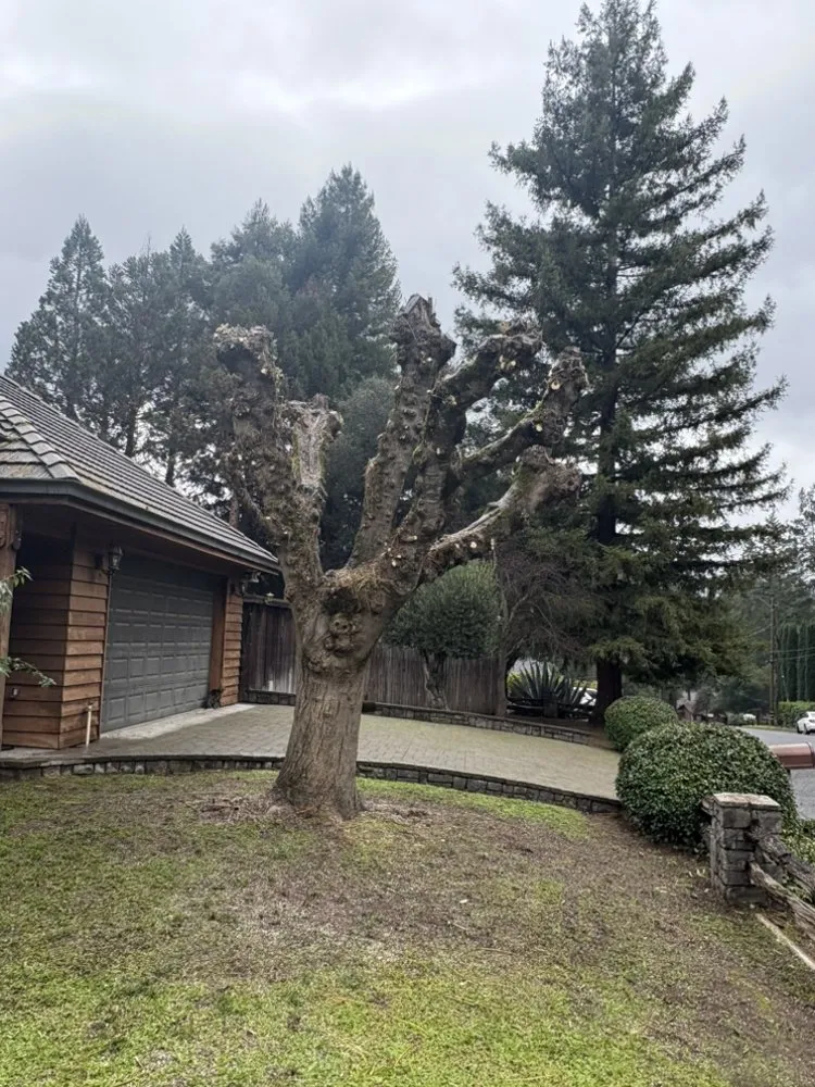 Affordable outdoor landscaping in Ukiah, CA - Marks Landscaping And Gardening