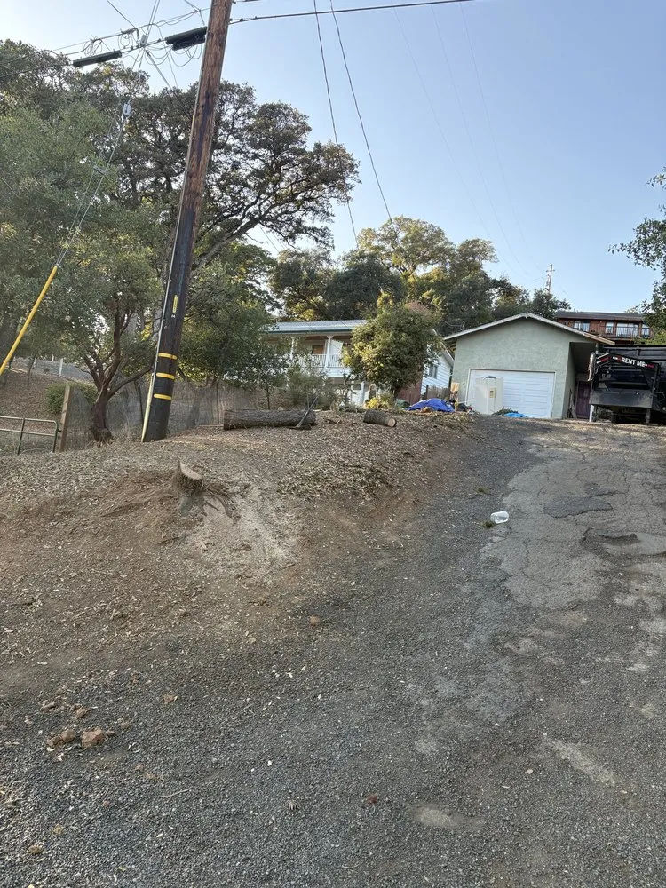 Affordable landscaping services for beautiful yards in Ukiah, CA by Marks Landscaping And Gardening