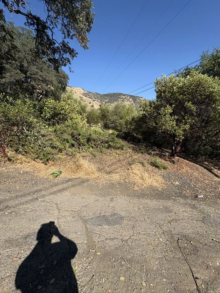 Professional landscape installation for homes in Ukiah, CA by Marks Landscaping And Gardening