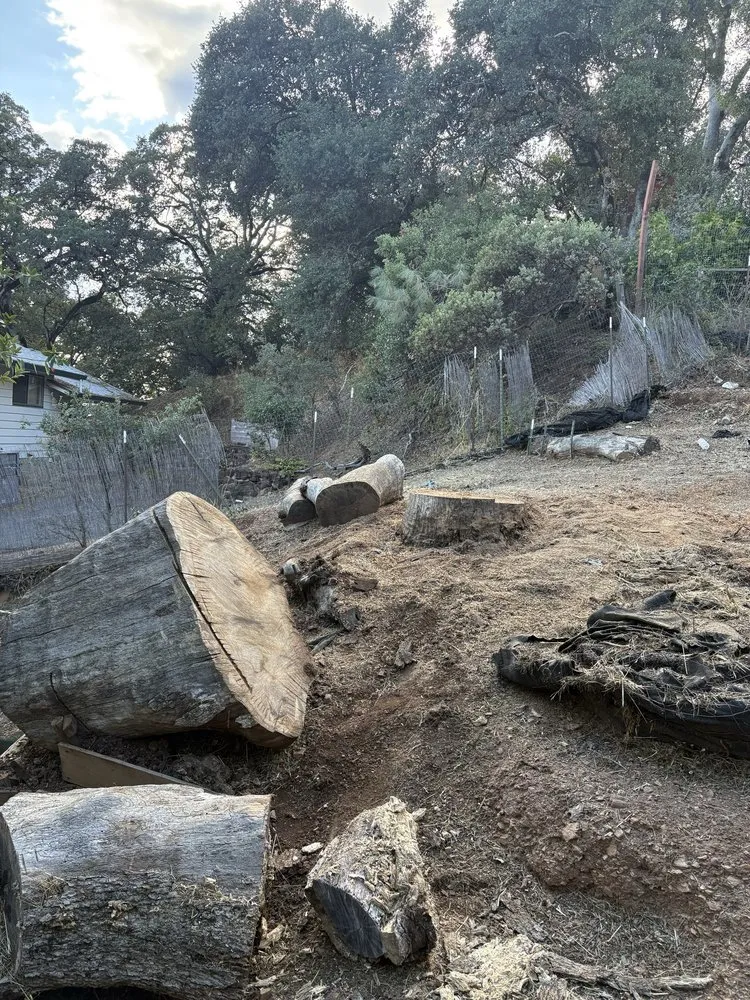 Trusted garden landscaping experts serving Ukiah, CA - Marks Landscaping And Gardening