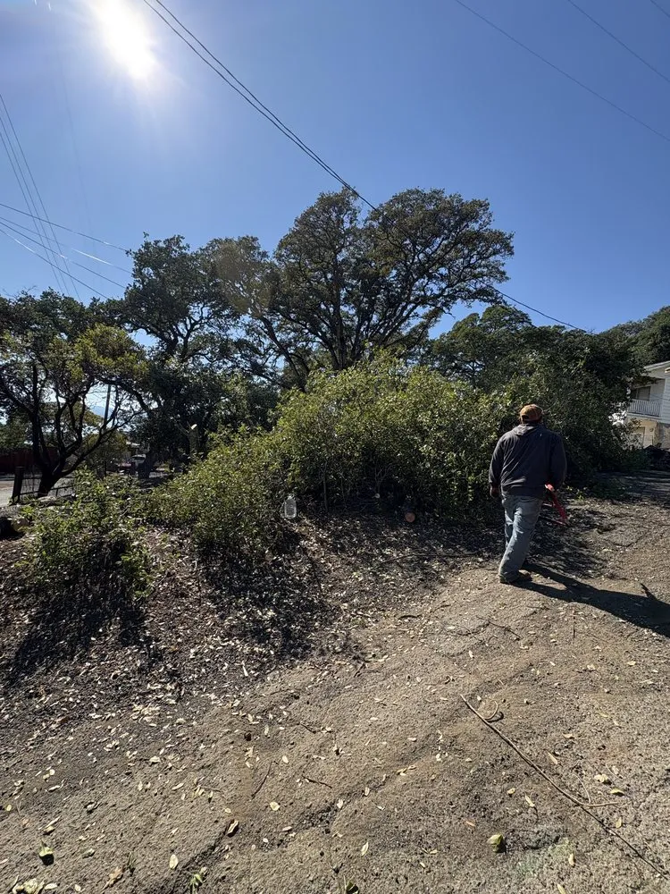 Local lawn care service in Ukiah, CA - Marks Landscaping And Gardening