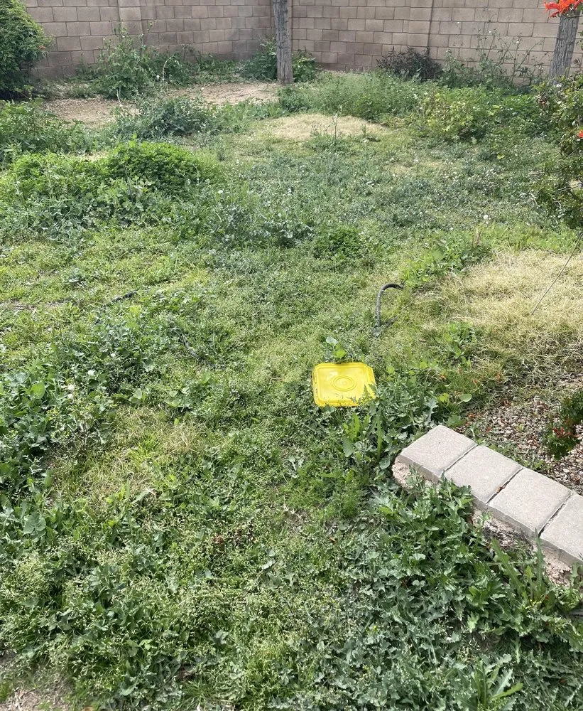 Reliable landscaping services experts serving Bozeman, MT - Marks Landscaping