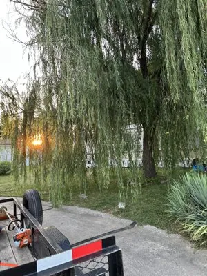 Mark’s Landscaping Logo