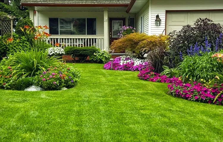 Affordable yard cleanup service in West Hartford, CT - Mark's Landscaping