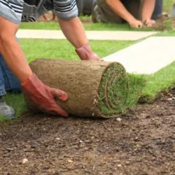 Top-rated lawn care service in Halethorpe, MD - Mark's Lawn & Landscape