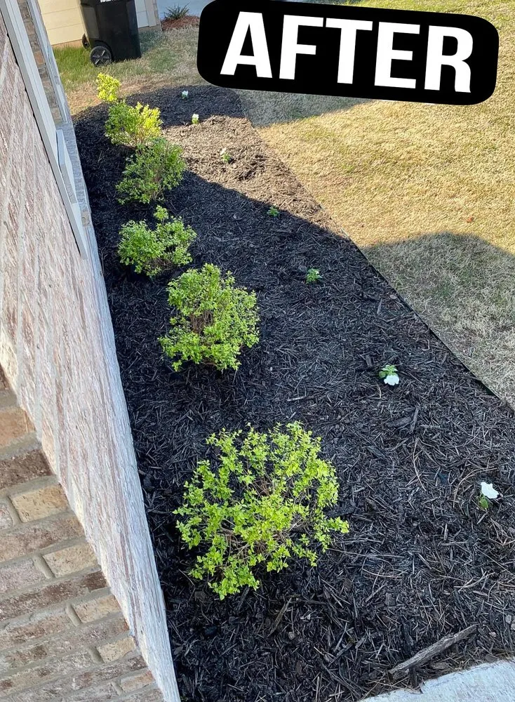 Professional residential landscaping experts serving Texarkana, TX - Mark’s Lawn And Landscaping