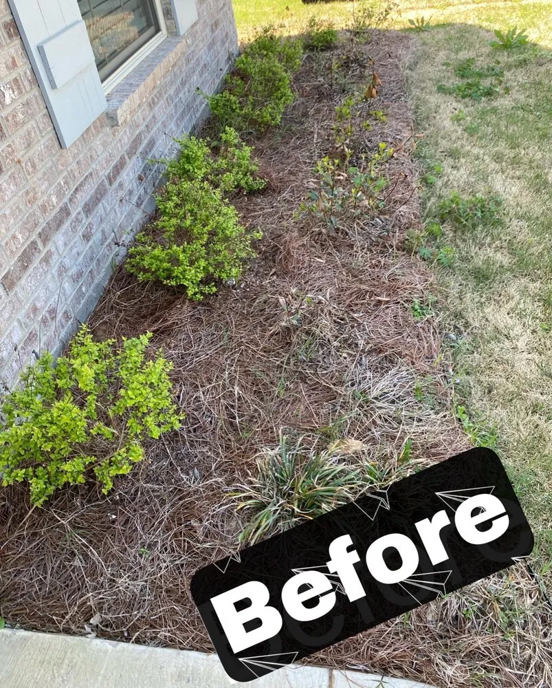 Top-rated outdoor landscaping in Texarkana, TX by Mark’s Lawn And Landscaping