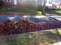 Local residential landscaping experts serving Oak Park, MI - Mark's Lawn and Maintenance