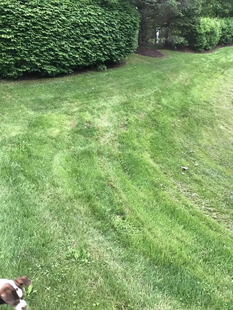 Custom lawn care service near you across Boothwyn, PA - Mark's Lawn Care & Landscaping