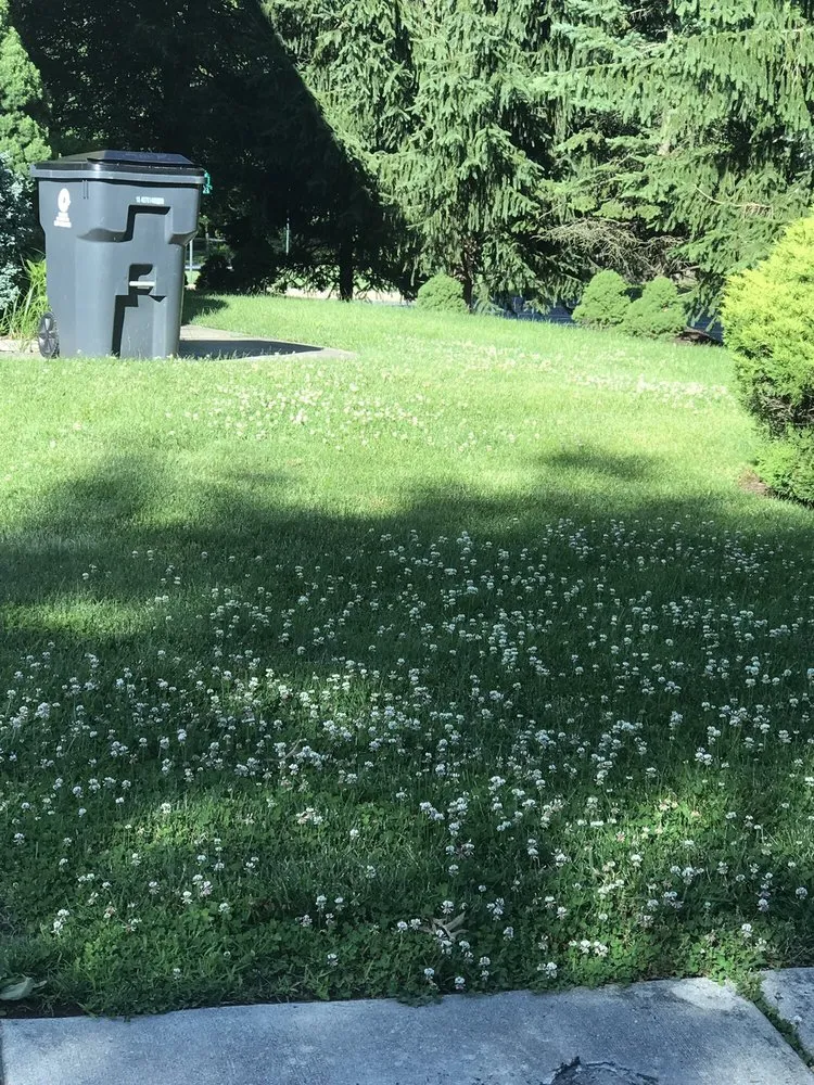 Trusted yard maintenance in Boothwyn, PA - Mark's Lawn Care & Landscaping