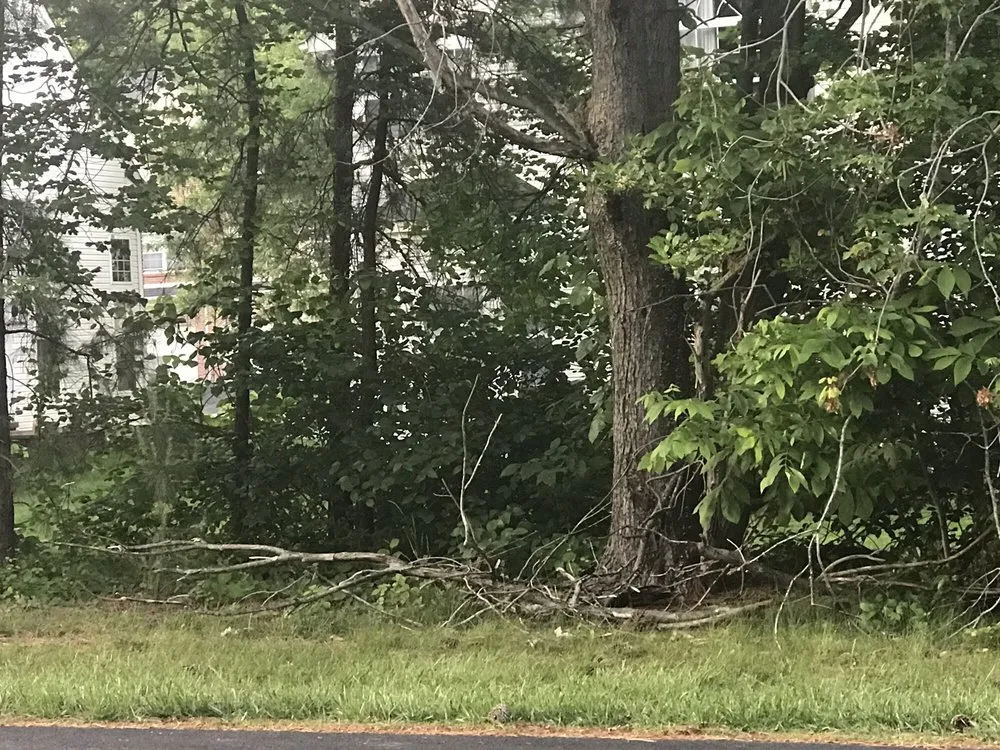 Affordable residential landscaping experts serving Boothwyn, PA - Mark's Lawn Care & Landscaping