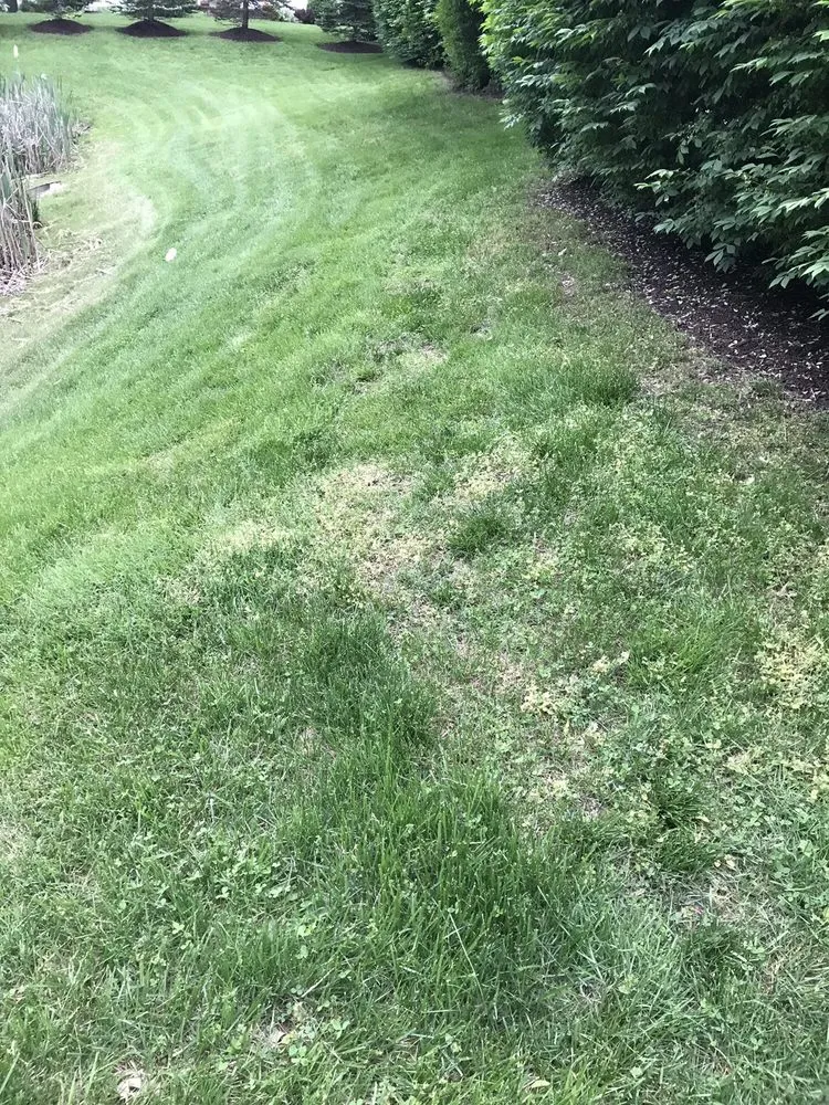 Affordable residential landscaping in Boothwyn, PA by Mark's Lawn Care & Landscaping