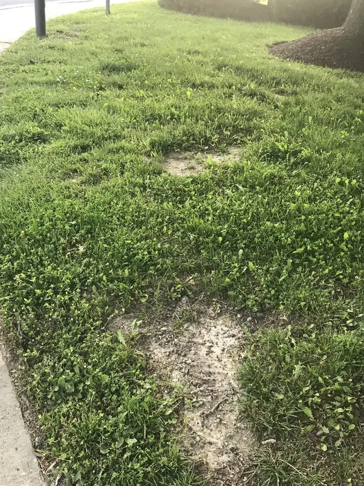 Top-rated landscape installation experts serving Boothwyn, PA - Mark's Lawn Care & Landscaping