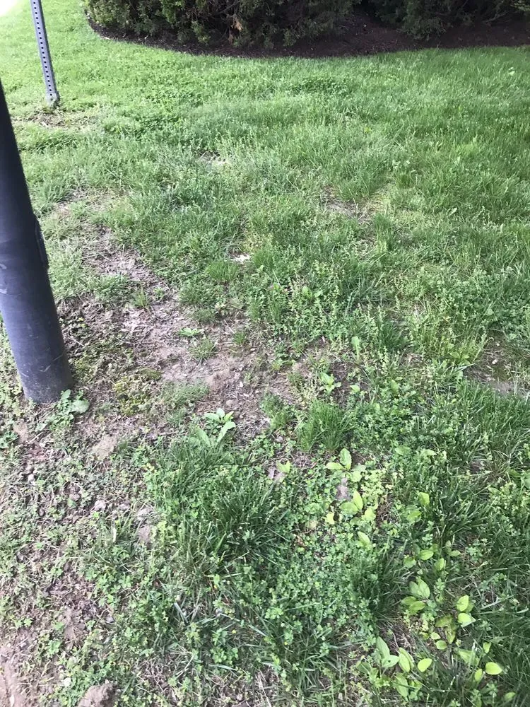 Custom landscaping services experts serving Boothwyn, PA - Mark's Lawn Care & Landscaping